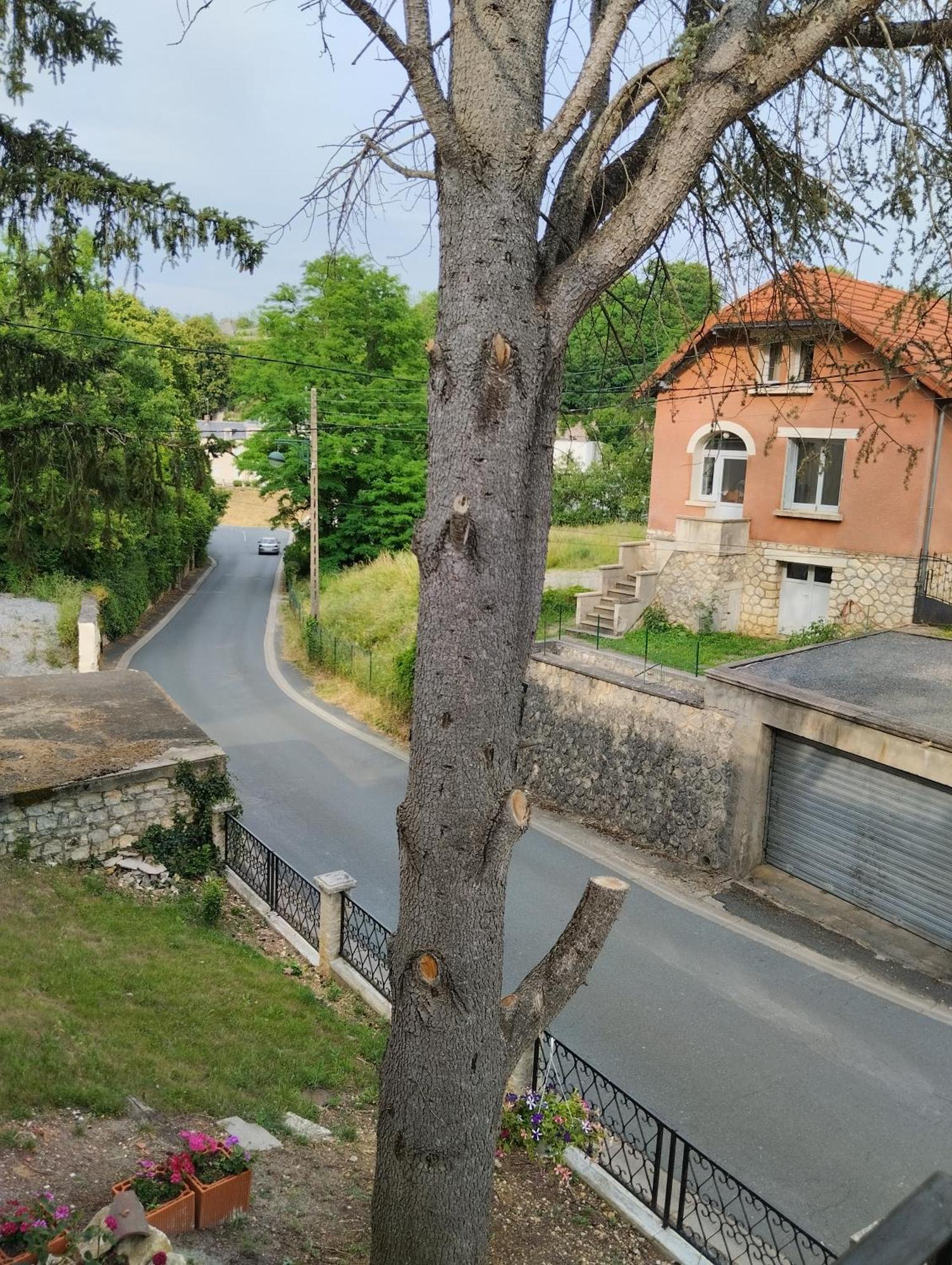 Villa Du Bien Etre Argenton Sur Creuse Exterior foto